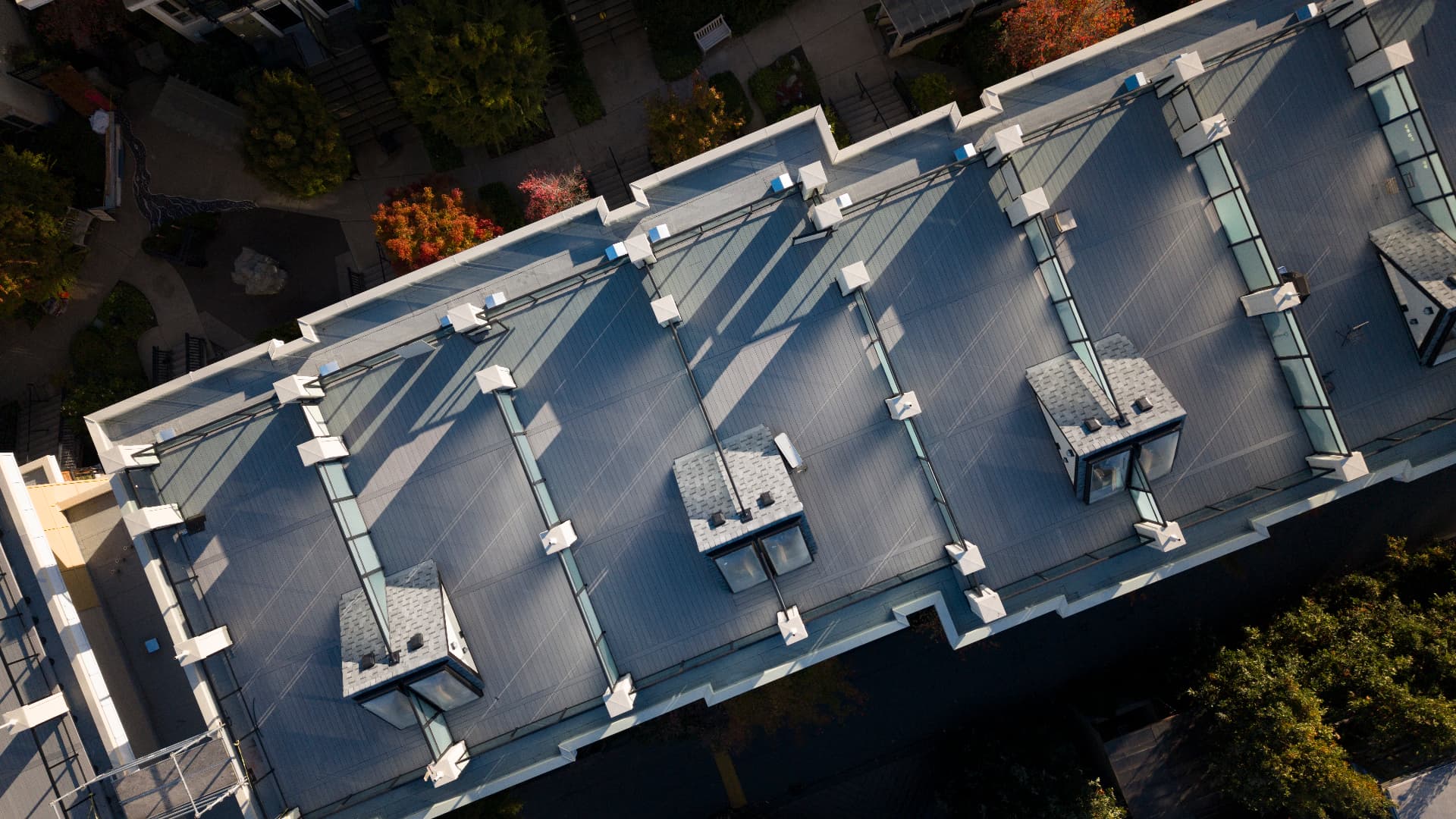 NOMA project with NeoLine composite decking