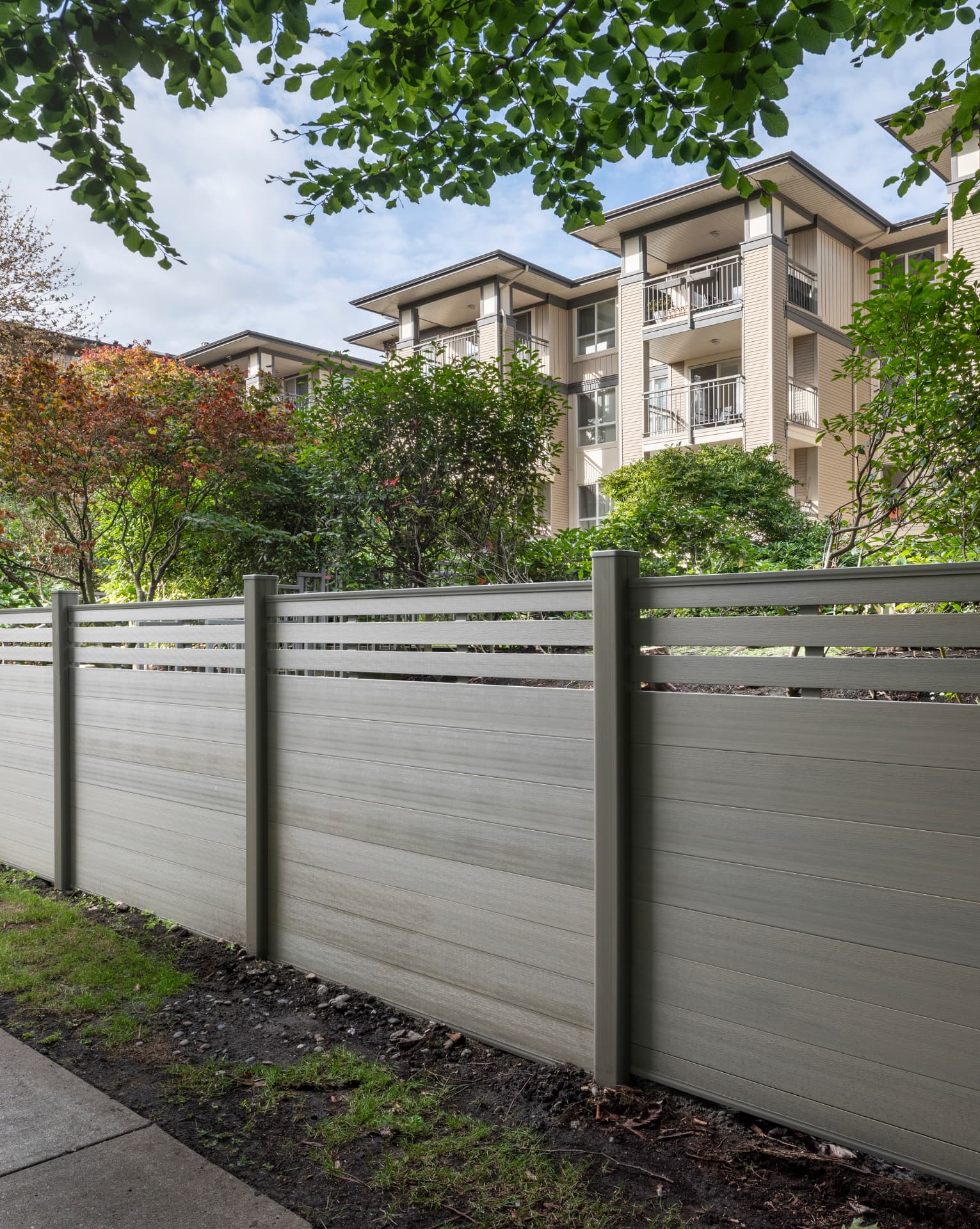 Desert Sage Partial Trellis fencing — Kensington