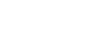 Icon · reversed on lime