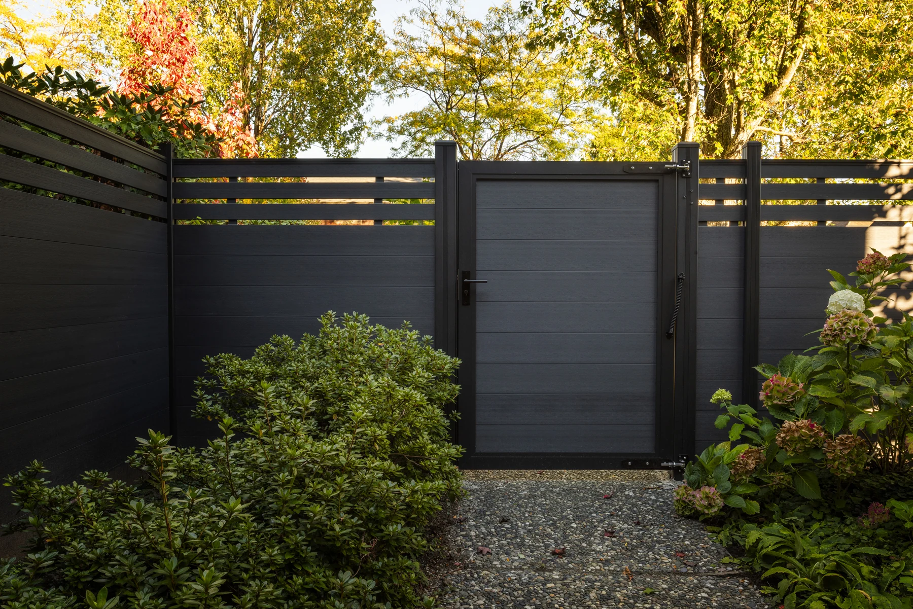 NeoLine composite garden gate with black frame surrounded by planting
